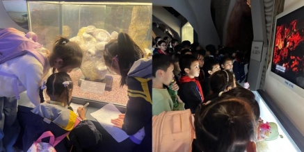 MEITU_20251111_104603678